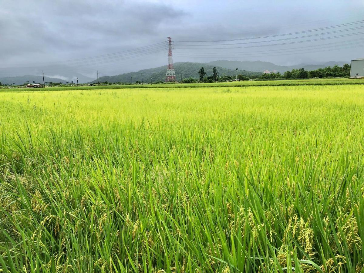 Fairy Story Village Farm B&B Dongshan  Exterior foto