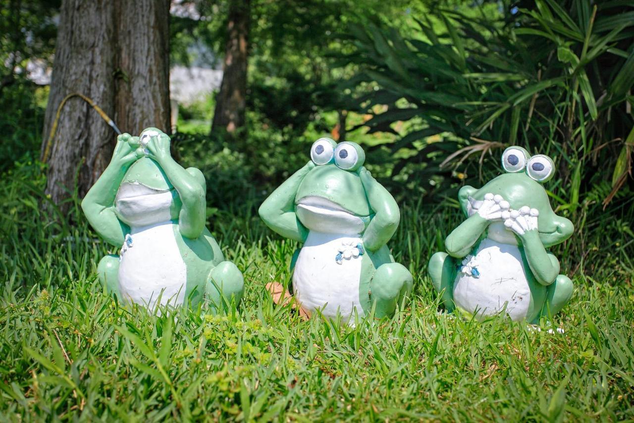 Fairy Story Village Farm B&B Dongshan  Exterior foto